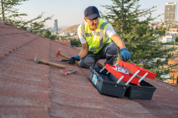 Best Carpet Removal and Disposal  in Starkville, MS